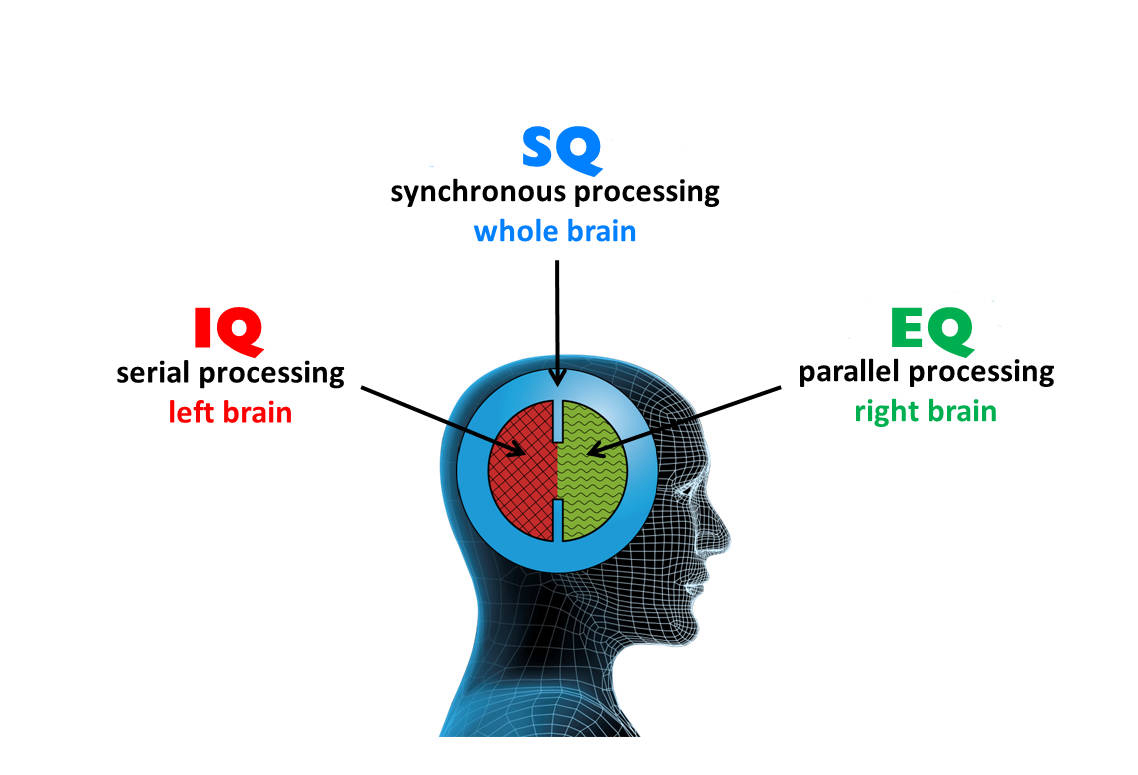 eq-vs-sq-article-hsbc-visiongo